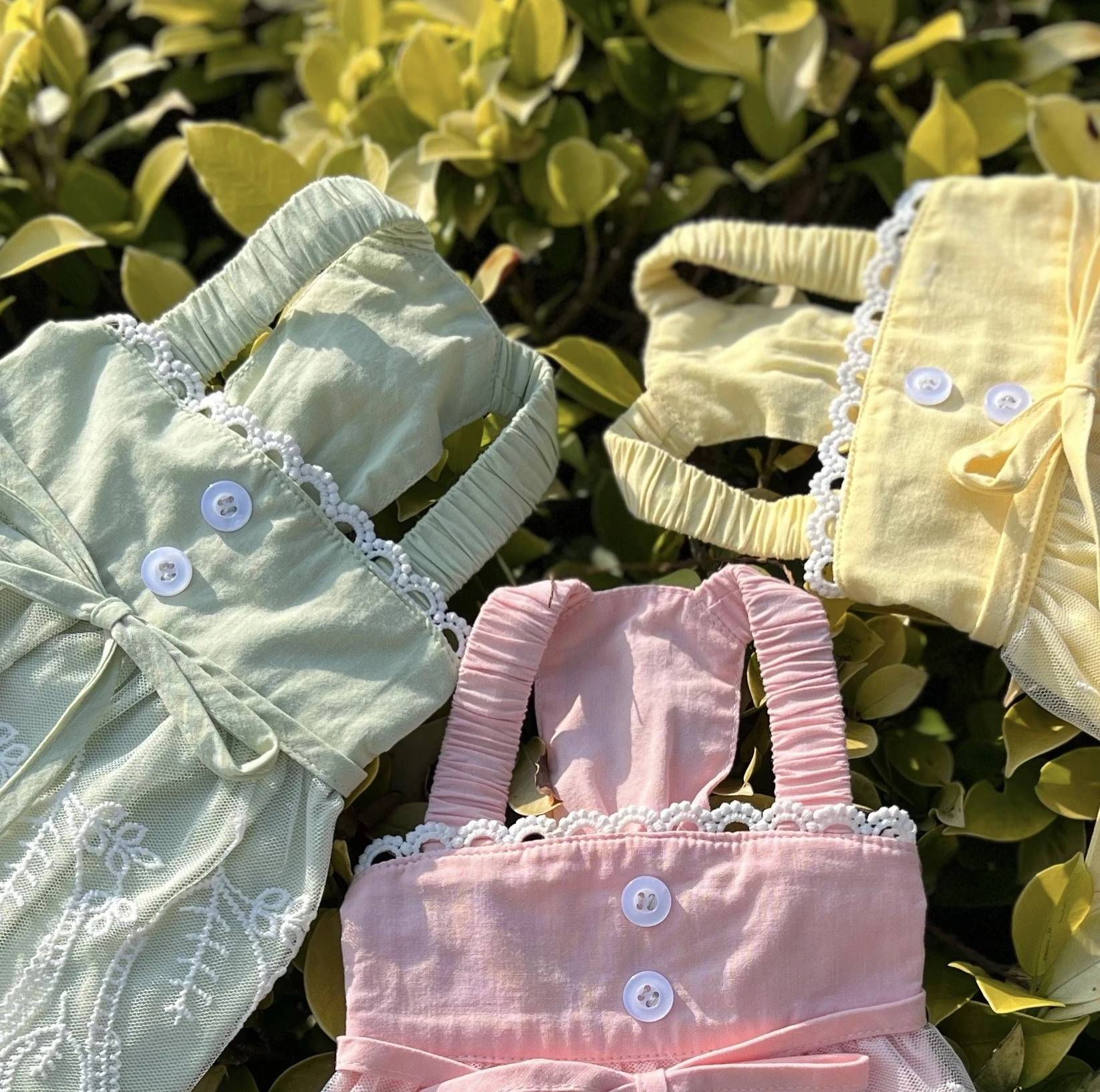 Весенне-летние хлопковые кружевные подтяжки маленькая собака Мальта Бишон