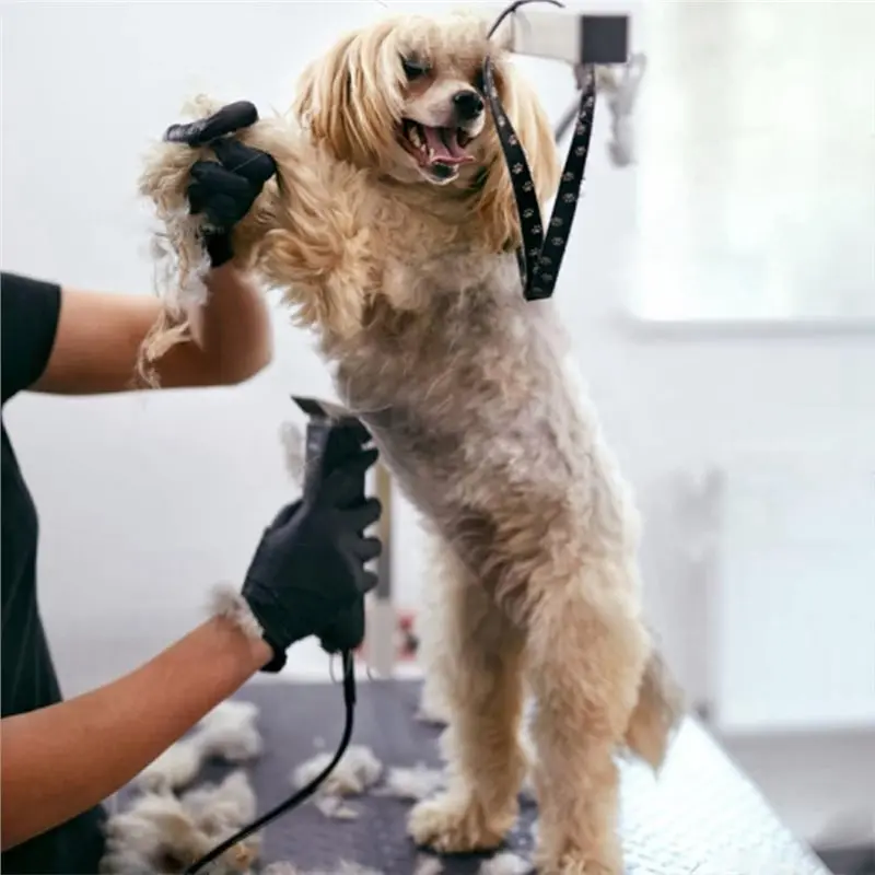 Фото Сменные лезвия для машинок для стрижки собак AAAF, совместимые с Andis Pet Clipper/Oster A5/Wahl KM Series (10+30+7FC+5F) №5