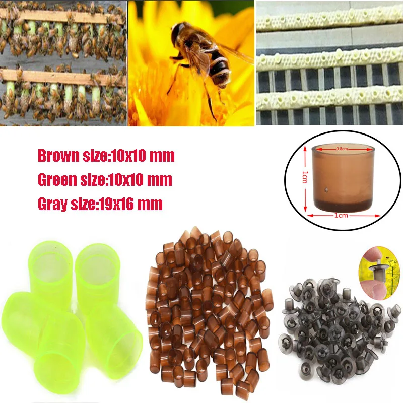 

50/100pcs bee queen rearing king new plastic brown/green/gray cell cages room cups cell cage cup bees tools beekeepers equipment