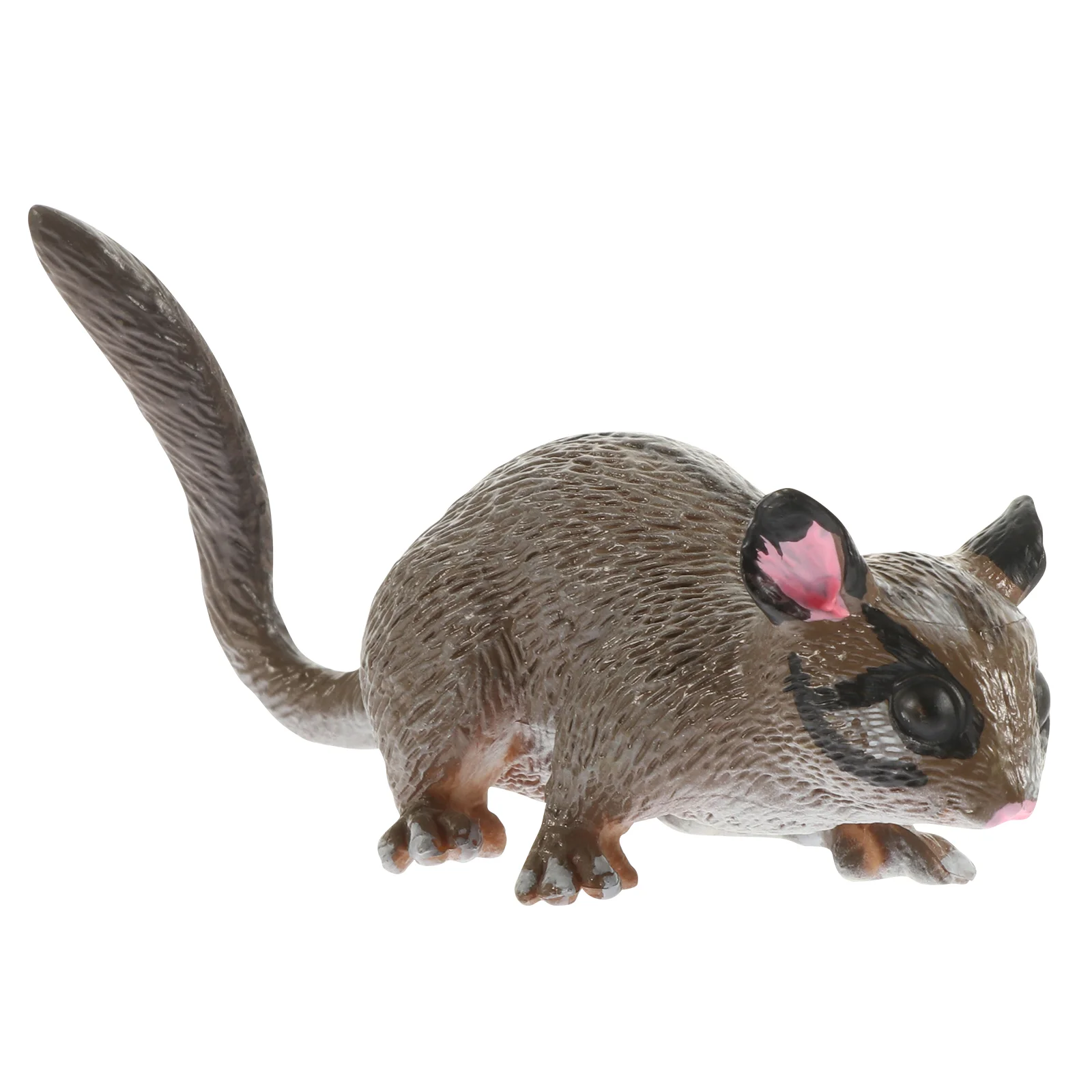 

Animal Squirrel Animals Figurines Miniature Plushfiguresbreviceps Petaurus Figurine Statue Woodland Flying Rat Decorfarm
