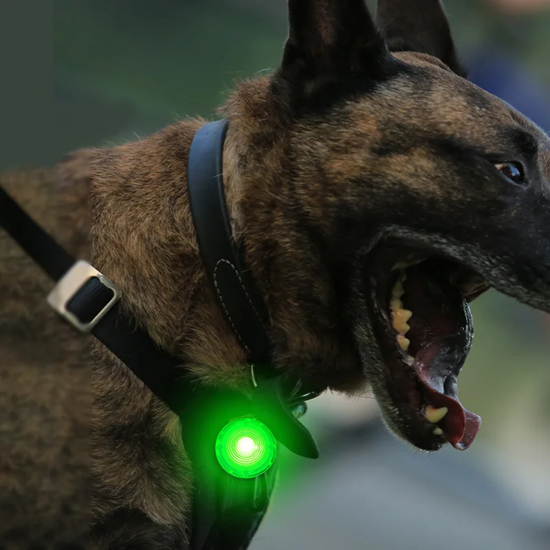 

Pet Dog Pendant LED Lighted Cat Night Safety Flashing Necklace Bright Light Pet LED Collar Pendant for Night Walking