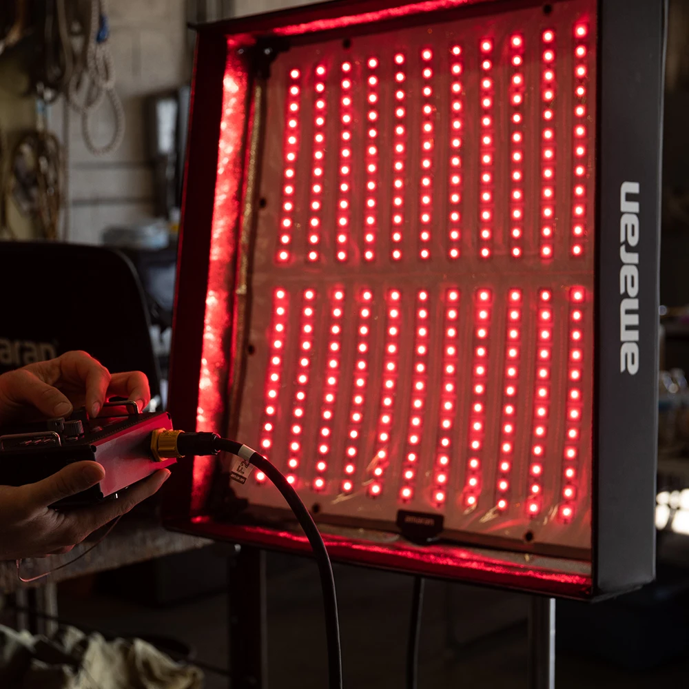 Aputure Amaran F22C/F22X Гибкая фотовспышка для студийной видеосъемки с полным цветом 2500-7500K