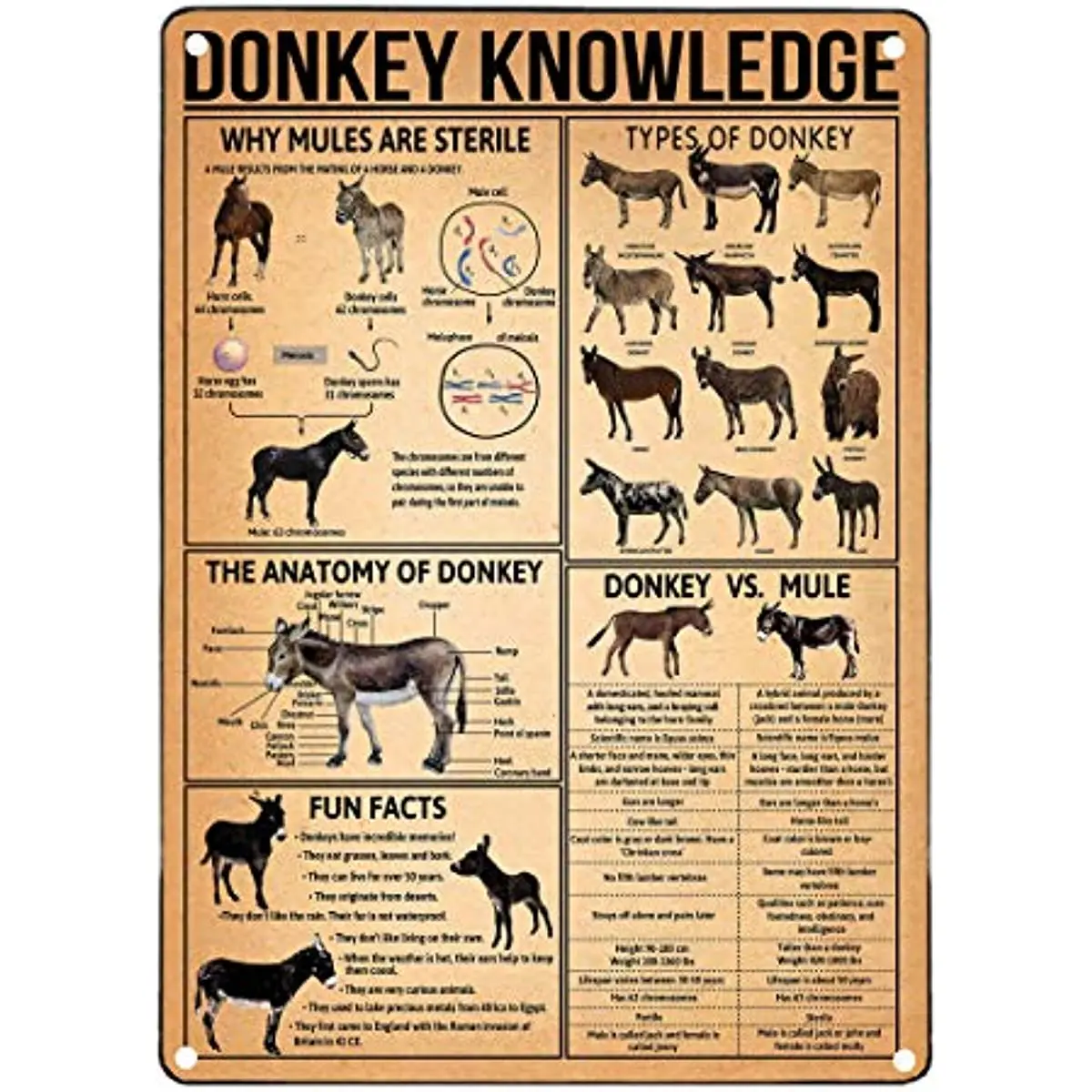 Ослик знания Ретро металлический знак обучение знания плакаты Инфографика школа клуб бар жестяной знак 12x17 дюймов