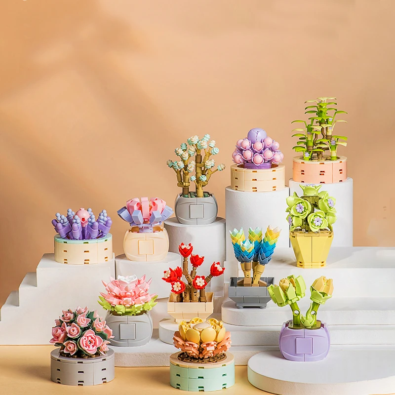 Звездный цветок строительные блоки суккуленты растения в горшке милые комнатные