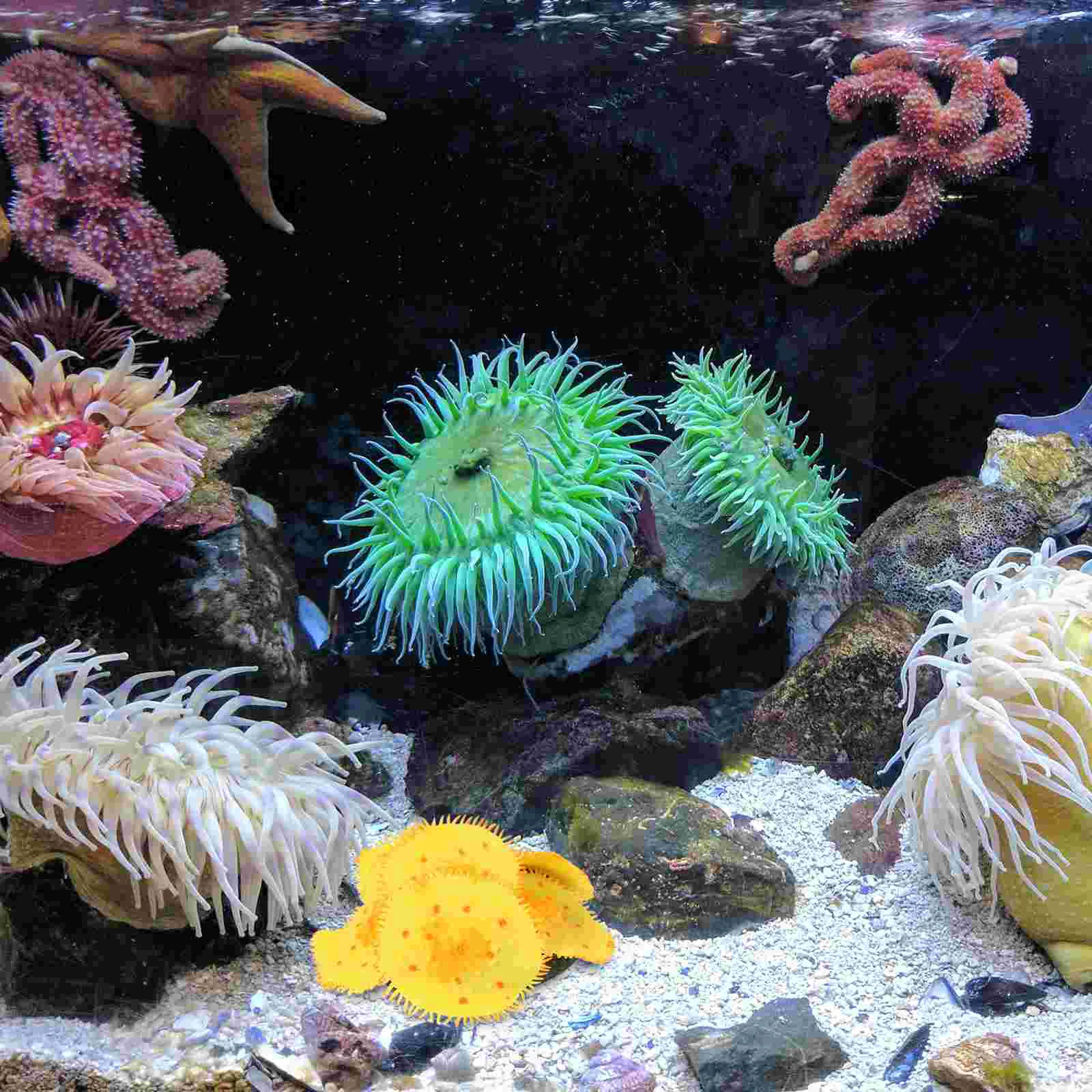 Поддельные коралловые пресноводные растения украшение для аквариума