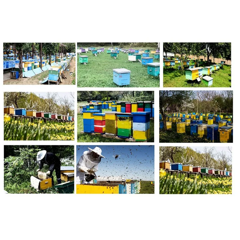 Новая клетка для пчел Queen пластиковый изолятор зажим инструменты разведения