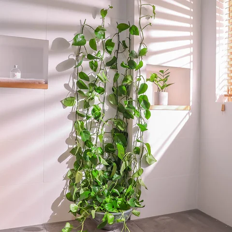 Пластиковые зажимы для вьющихся растений Green/White