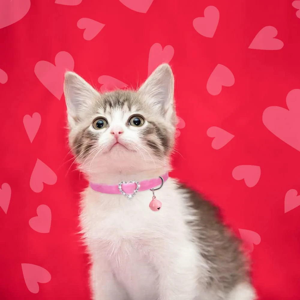 Ошейник на День святого Валентина с колокольчиком розовый мягкий Флокированный