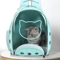 Cute Cartoon Portable Pet Carrier Bag Outdoor Cat Backpacks Transparent Window Large Space Handbags for Small Cat and Dog