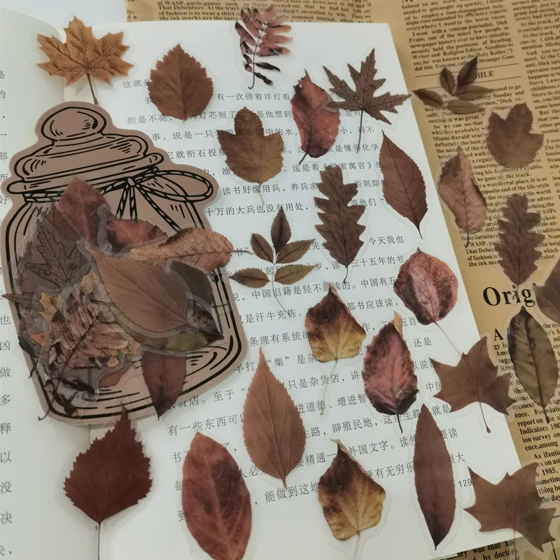 

Leaf Nature leaves PET Waterproof Deco Stickers Fallen Leaves Transparent Bullet Journaling Diary Aesthetic Sticker Scrapbook