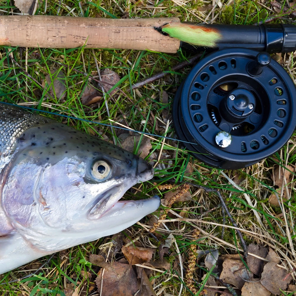 Набор приманок для ловли нахлыстом Goture 30/40/76 шт./лот сухая и влажная Нимфа