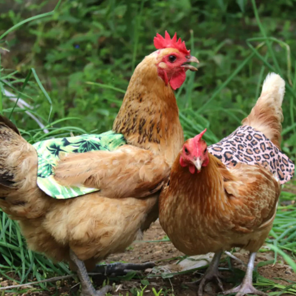 

Adjustable Pet Clothes Hen Feather Protection Holder Chicken Straps Hen Apron for Poultry Back Wing Protection Pets Supplies