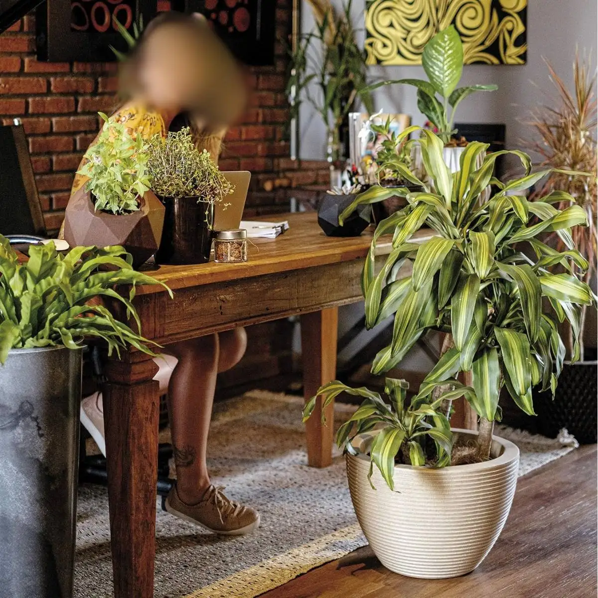 Низкие овальные вазы Riscatto 30 (32L) цветной гранит