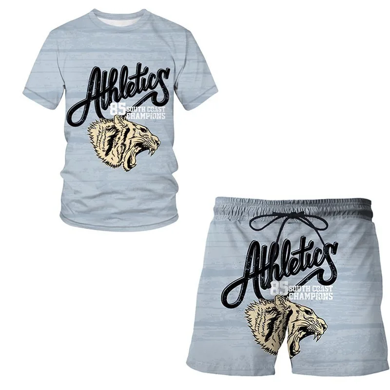 Men's Outfit Summer Short Sleeve T Shirt Set Fashion 2 Piece Streetwear 3D Printed Sports Beach Shorts Sportswear Men's