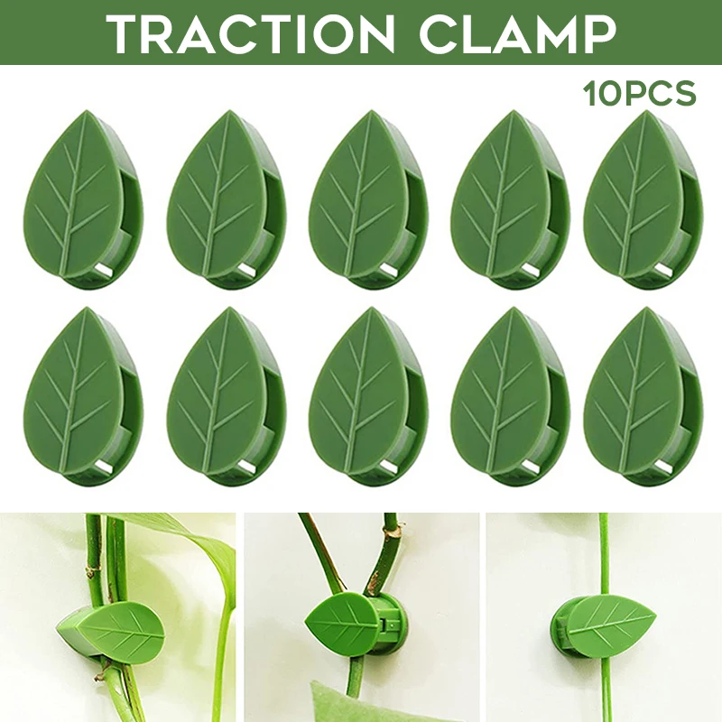 

Plant Climbing Wall Fixture Clips Multipurpose Self-Adhesive Invisible Fixer Plants Cable Plant Climbing Wall Fixture Clips gass