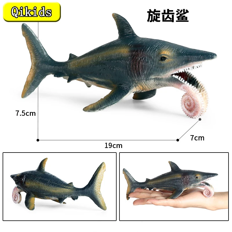 Имитация морской биологической модели детская игрушка твердая Акула кудрявые