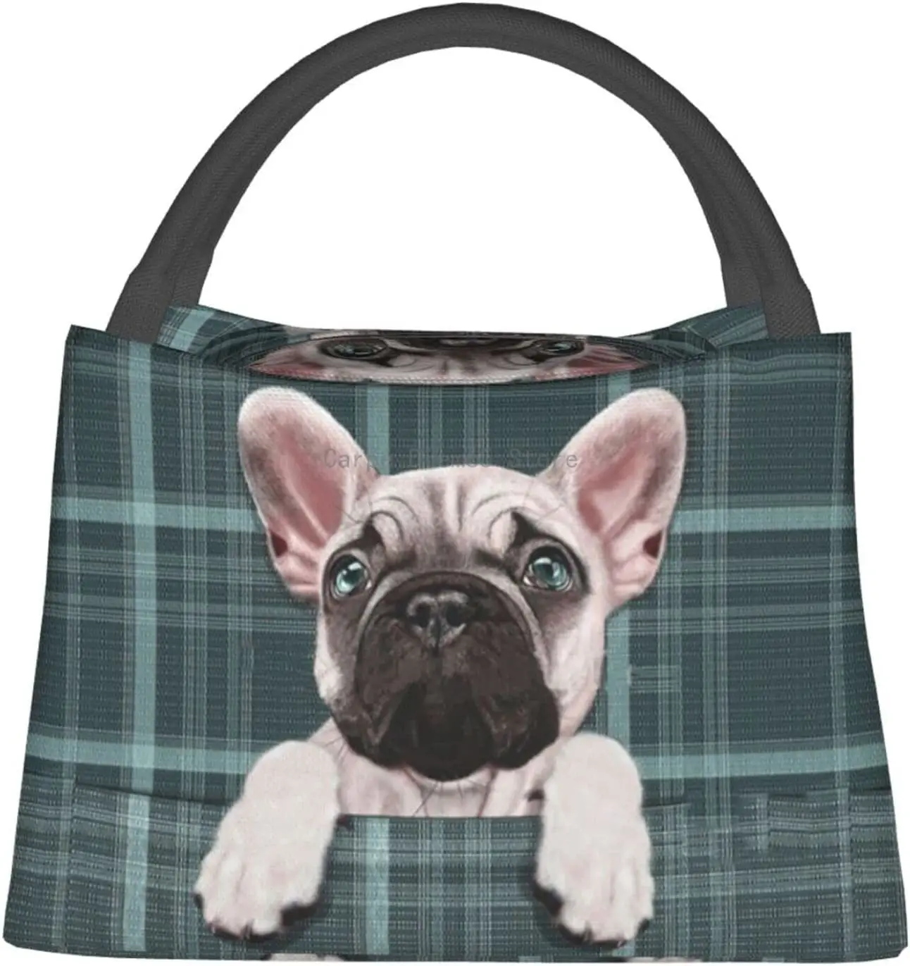 

French Bulldog Lunch Bag for women Insulated Cooler Bag Reusable Lunch Box Tote Bag With Container Gifts for Bulldog Lovers