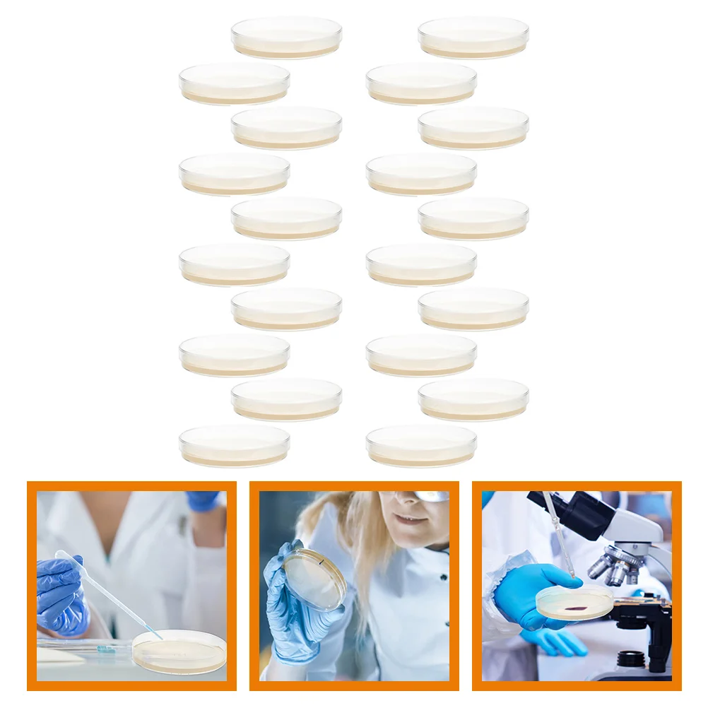 Тарелки с агаровыми пластинами для экспериментов питательных наук