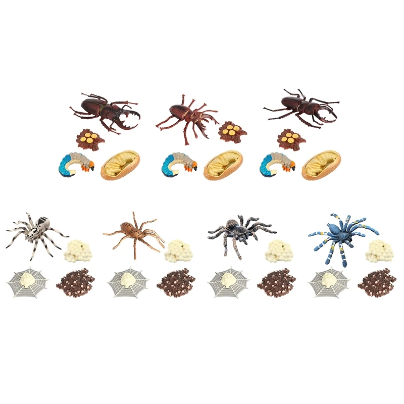 

Новый жизненный цикл животных, Модель жизненного цикла животных, модель цикла роста насекомых, Обучающие Детские игрушки