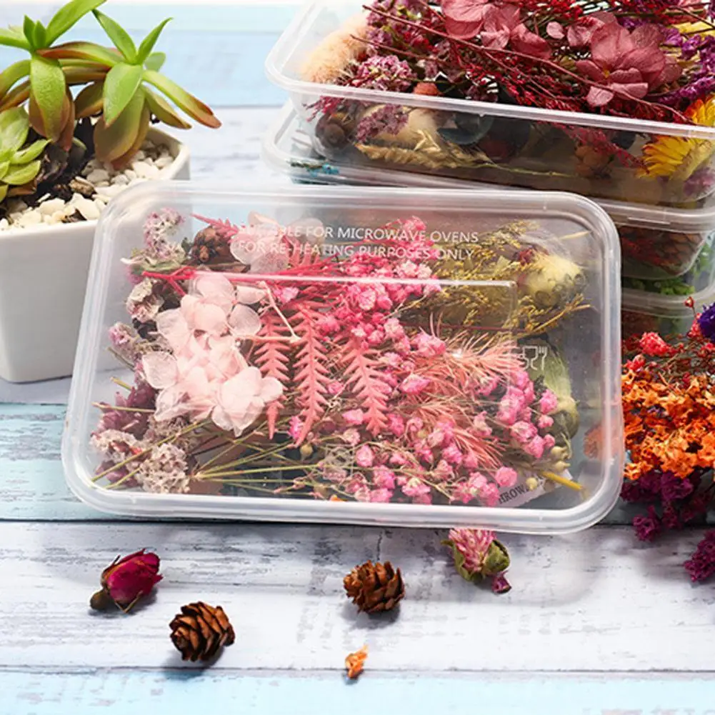 

1 Box Art Flower Delicate Non-fading Mixed DIY Dried Flower Decor Wear-resistant Decorative Dried Flower Decor