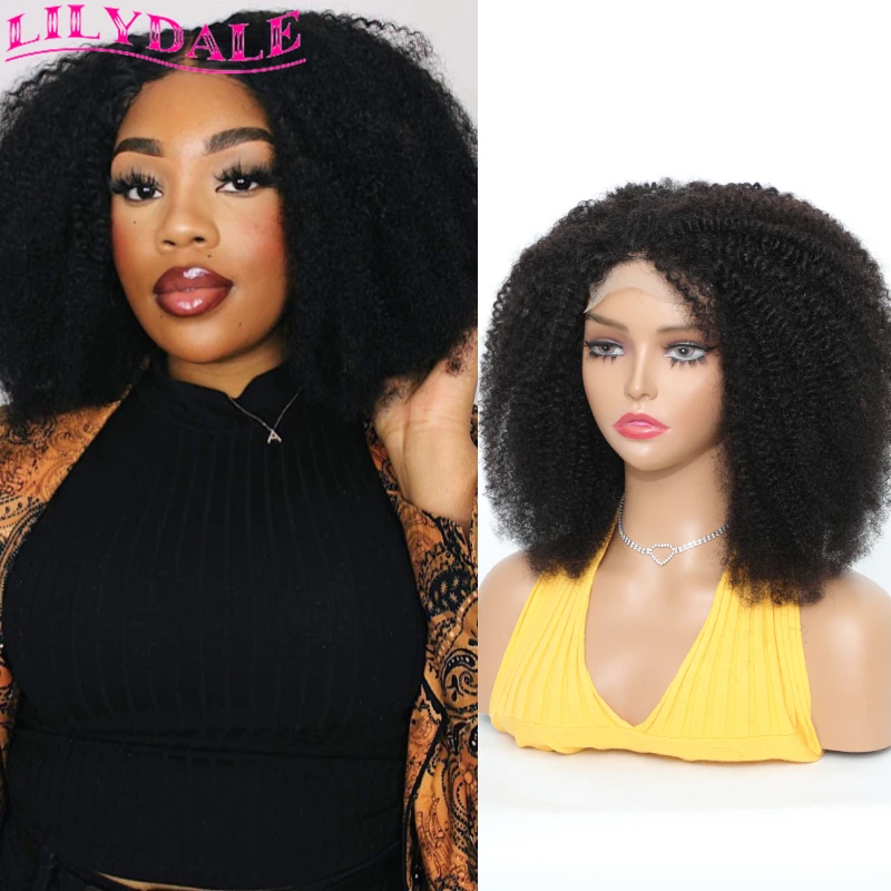 Mongolian Afro Kinky Curly Lace Closure Wig Human Hair Fluffy Curly Wigs For Black Women Remy Hair Pre Plucked With Baby Hair