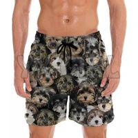 you get a lot of morkies shorts 3d all over printed mens shorts quick drying beach shorts summer beach swim trunks