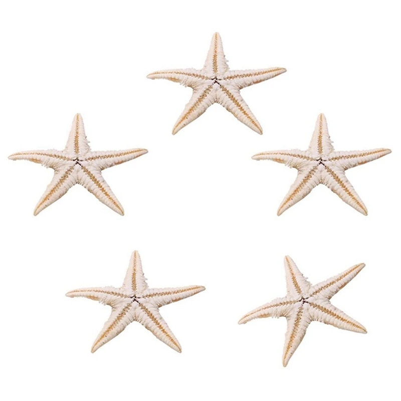 

200Pcs Natural Starfish Seashell Beach Craft Natural Sea Stars DIY Beach Wedding Decoration Crafts Home Decor 1-5Cm