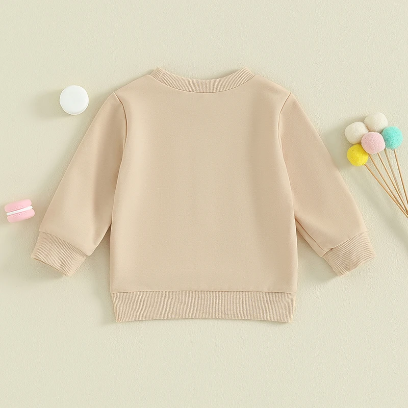 

Baby Girl Clothes Big Lil Sis Long Sleeve Sweatshirt Stretch Pants Matching Sets Toddler Fall Winter Outfits