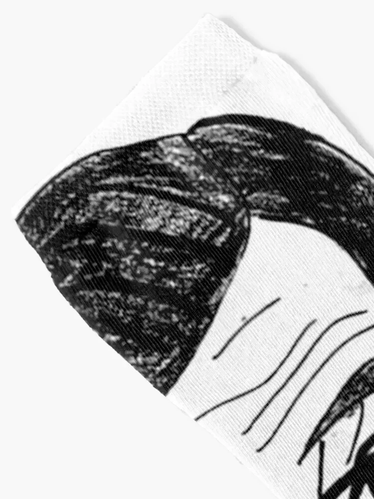 Носки Stephen Colbert карикатура подарочные носки в стиле хип-хоп для мужчин и женщин