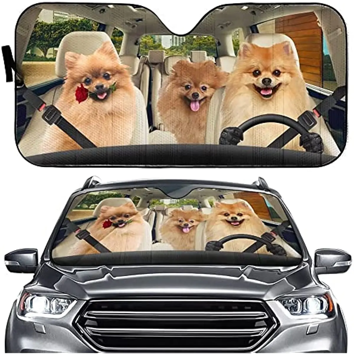 

Fawn Pomeranian Dog Driver Car Sun Shade for Windshield Auto Front Window Windshield Car Sunshade Anti-Sunlight Automotive Cover