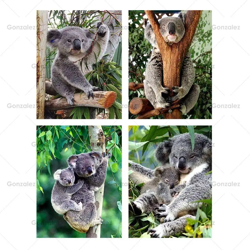 

Animals Koala Lazy Daily Pictures Diy Diamond Painting Art 5D Embroidery Handmade Gifts Mosaic Cross Stitch Home Decoration Kits