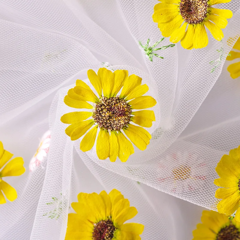 

500pcs Pressed Flower Dried Flower Yellow Grandaisy Scrapbooking DIY Resin Jewelry Crafts Nails Decor Candle Bookmarks Making