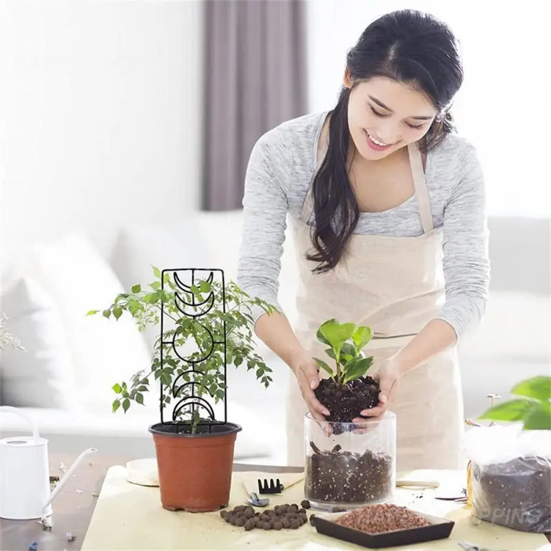 

Наружная клетка для поддержки цветов и поддержания их чистоты и целостности, металлический материал с отверстиями, трудно сломать