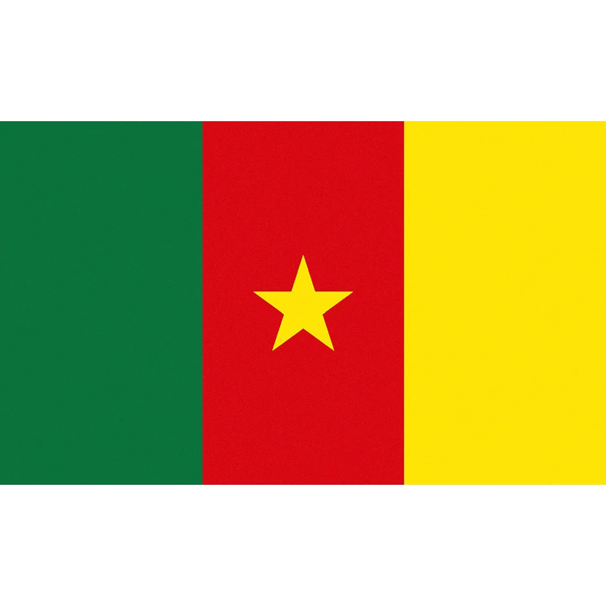 

Cameroon 90X150cm flag Banner 3x5 Foot national flag for decoration