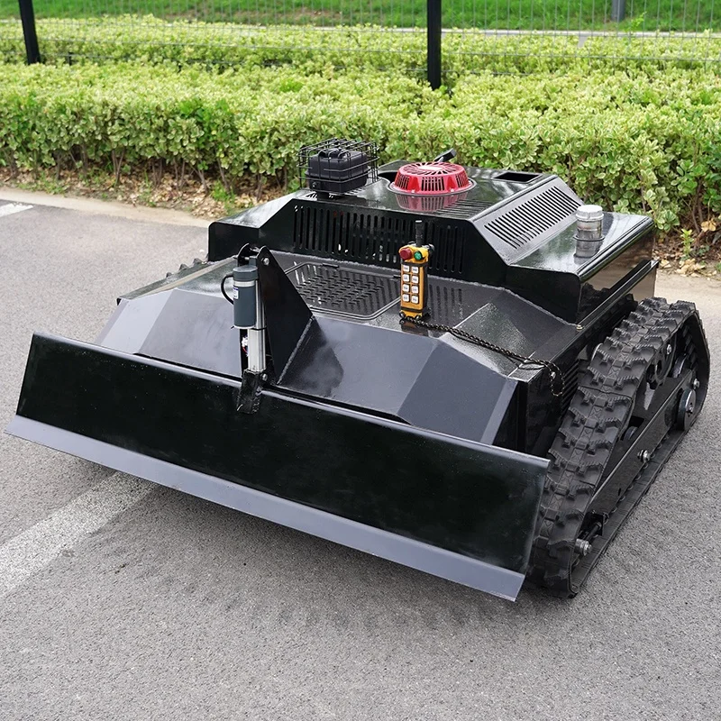 Рисунок 5 - Многофункциональная роботизированная