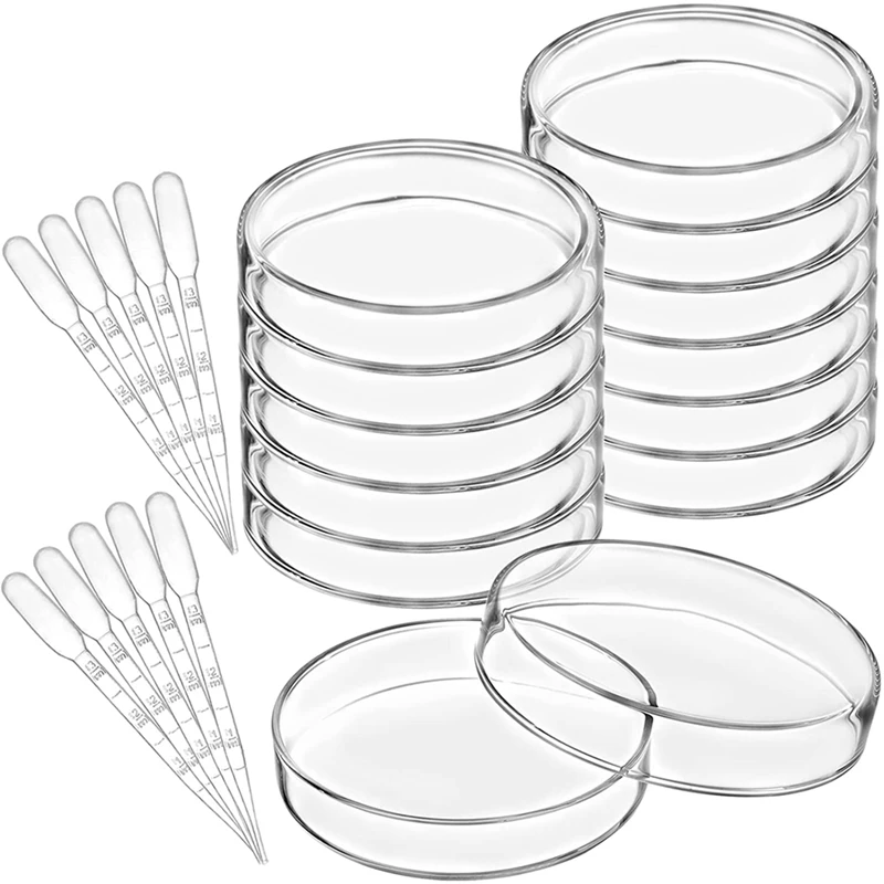 

10 Pack Glass Petri Dishes With Lids And Plastic Transfer Pipettes, 100 X 20 Mm Bacterial Culture Dishes For School, Lab