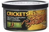 exo terra canned crickets xl specialty reptile food 1 2 oz