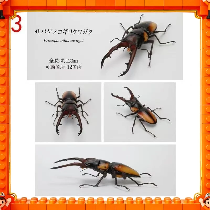 Фото 2026 Оригинальная модель Bandai GP Ikimono Taikan Stag Beetle 11 (Prosopocoilus Giraffa) в наличии, игрушка-подарок №4