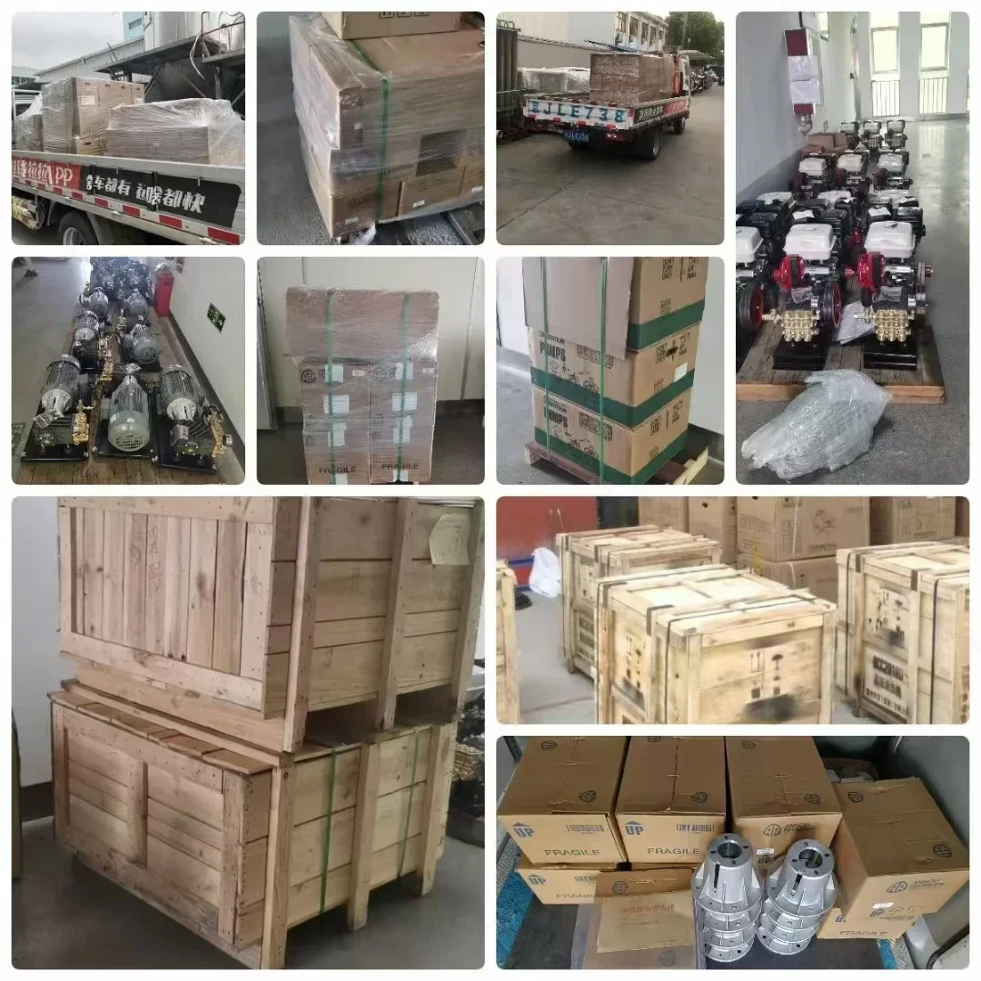 Италия AR плунжерный насос высокого давления санитарный RC-M04.10N RC06.15C RC-M06.10N