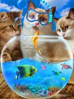 5d diy diamond embroidery cat craft kit diving cat and fish diamond painting animal rhinestone picture wall decoration