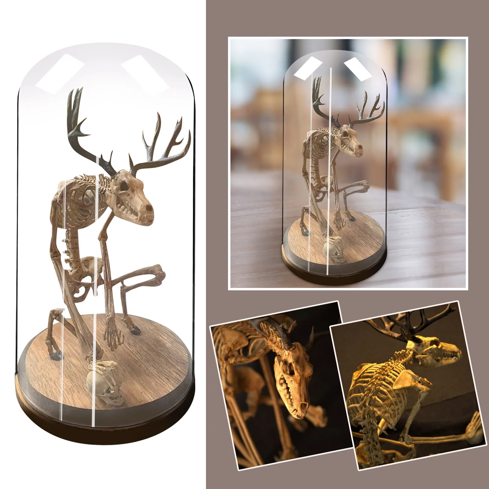 Таинственный Скелет из вэньдиго шкаф для любопытства модель ископаемого черепа