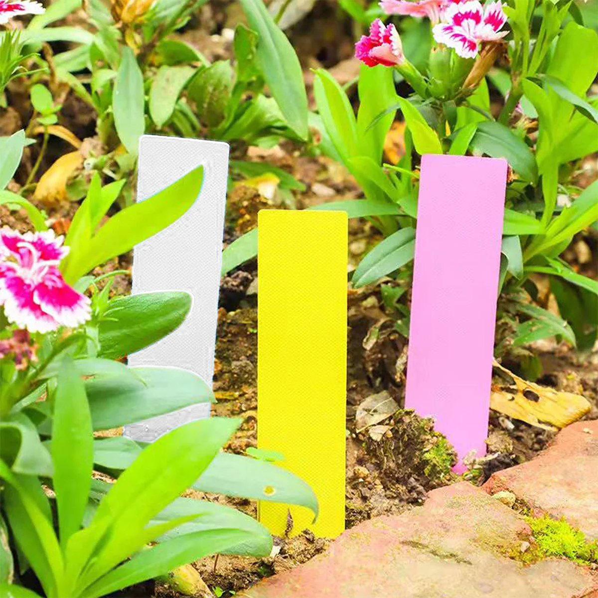 

300Pcs Waterproof Plant Pot Tags Plastic Plants Label Plant Labels Stakes for Garden