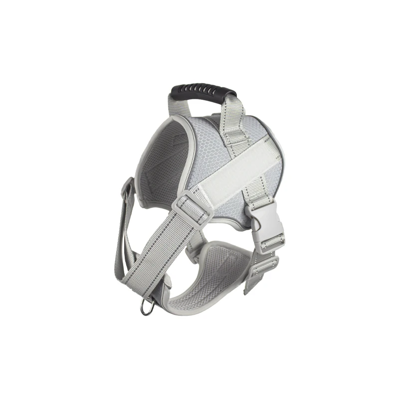 

leash поводок для кошки laisse chien harnais petit chien