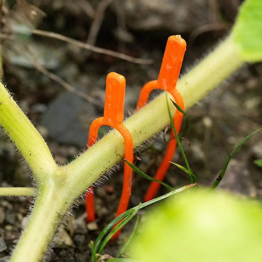 

50PCS Plant Stem Stolon Fixator 50MM 65MM Garden Strawberry Planting Fork Watermelon Fastening Fixture Clamp Clip Plant Support