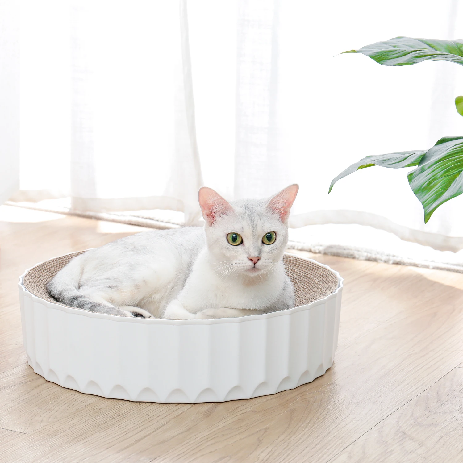 

Cat Corrugated Board Pet Cat Scratcher Lounge Beds with Catnip Durable Reversible Replaceable Non-slip Round Cat Corrugated Toys