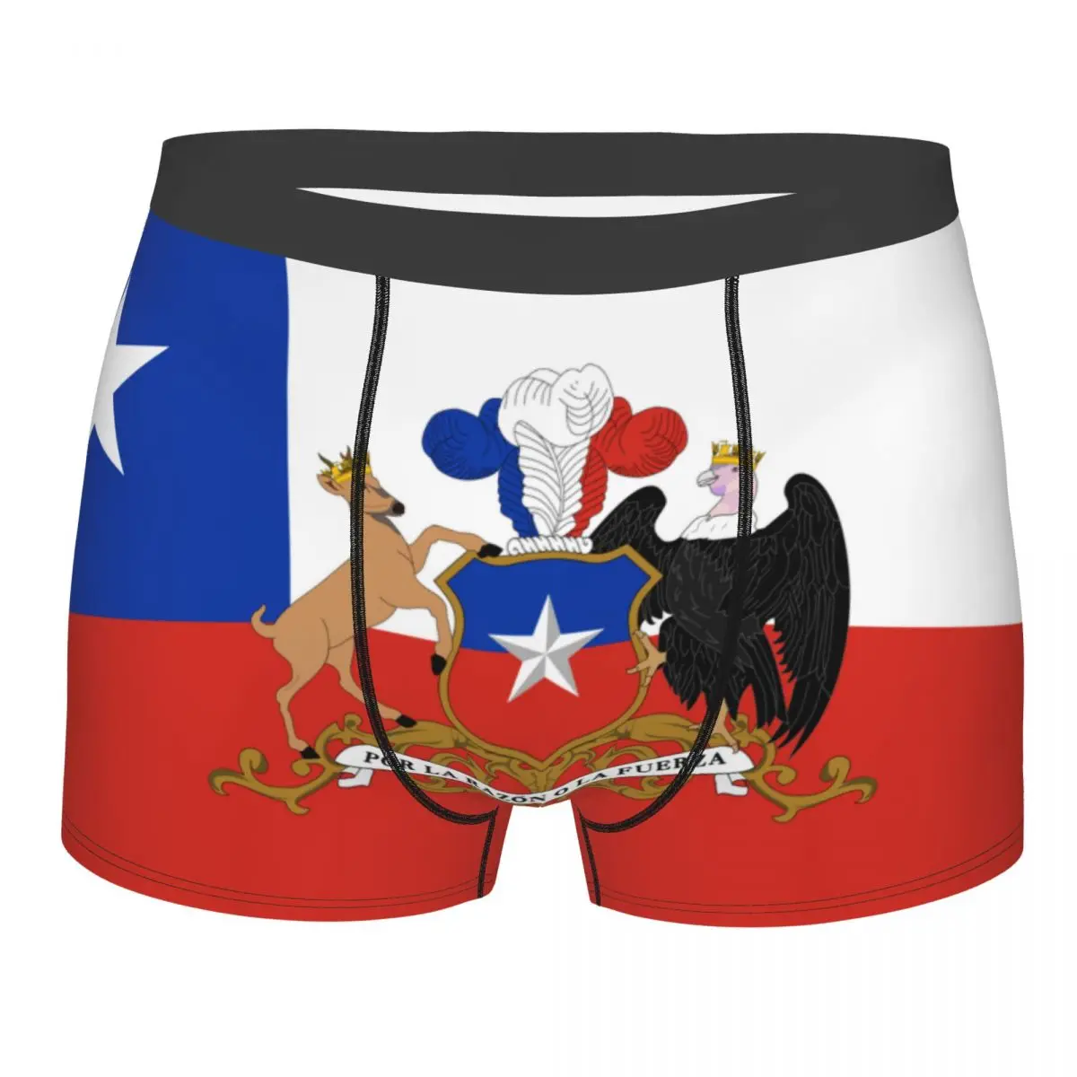 

Mens Boxer Sexy Underwear Soft Long boxershorts Flag Of The President Of Chile Underpants Male Panties