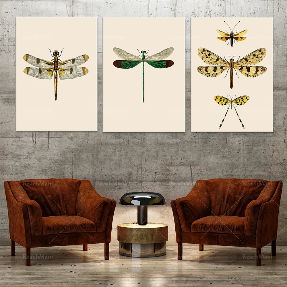 

Vintage Dragonfly Prints, Natural History Insect Art Prints Butterfly Picture Canvas Painting Kids Room Nursery Wall Decor
