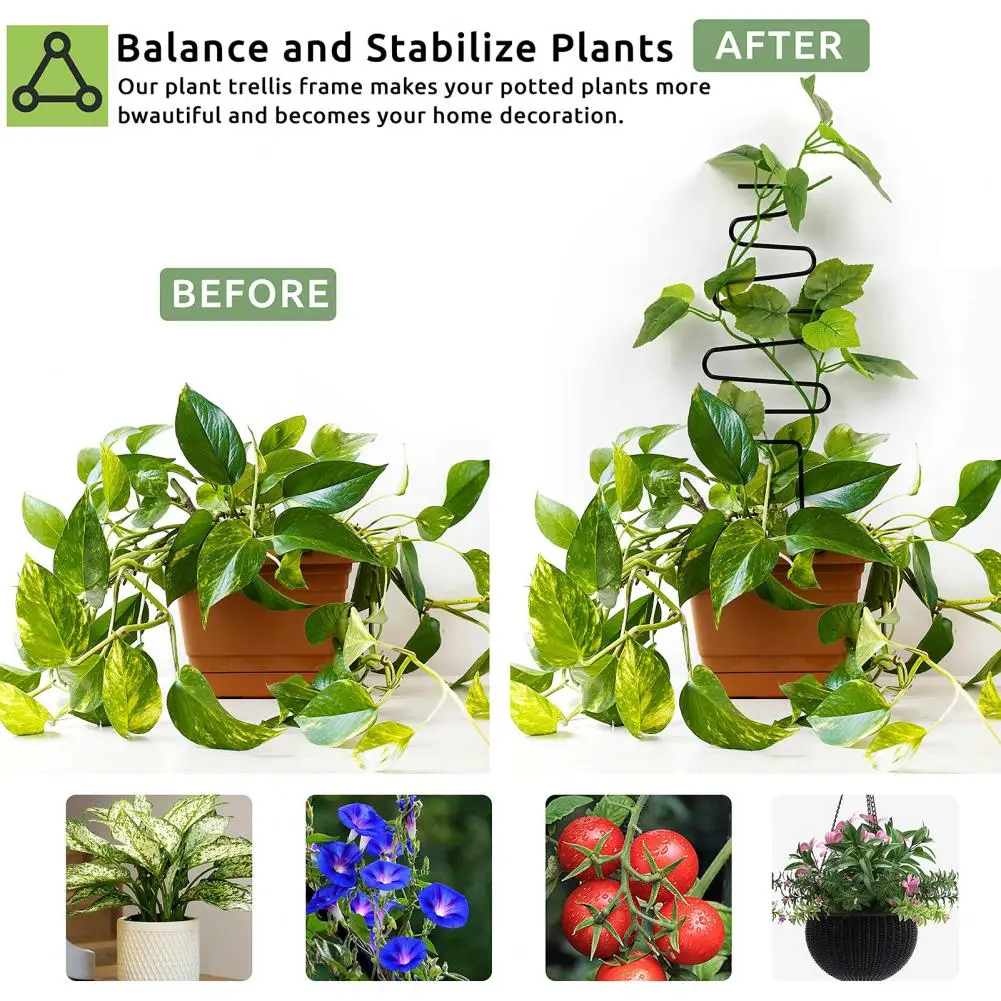 

4Pcs/Set Practical Reusable Metal Garden Trellis Geometric Shape Roses Petunias Climbing Plants Trellis Plant Support