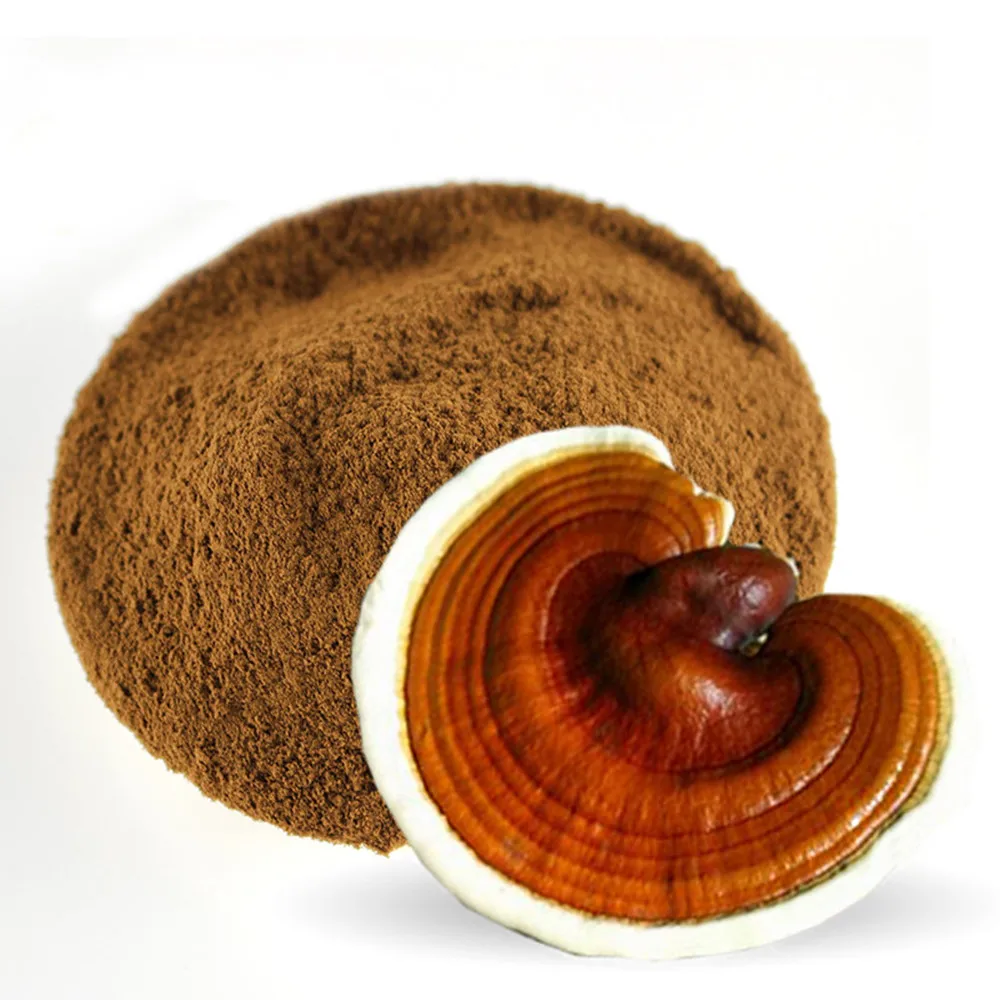 

Organic Reishi Mushroom powder extract slices wild Ganoderma lucidum polysaccharide 50% skin cream Ling Zhi supplement