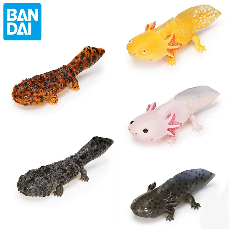 

Bandai Genuine Japanese Gashapon Simulated Biological Map Animals Mexican Salamander Action Figure Collection Model for Kids